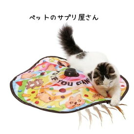 キャッチ・ミー・イフ・ユー・キャン2 猫壱 necoichi 猫用 おもちゃ 電気 楽しい 仔猫 電池