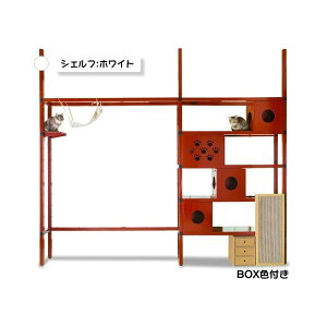 j_tVFt J[yzCgz BOXFt