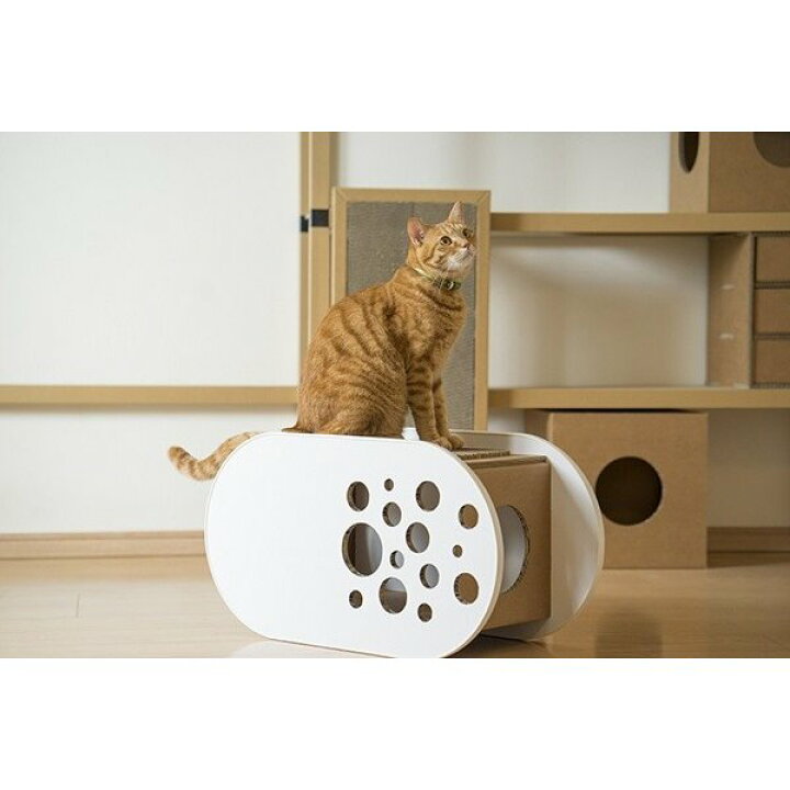 海外 スーパーセール White House A型 猫用 キャットハウス 爪とぎ ガリガリにゃん Ecoでおしゃれなデザインの日本製 強化ダンボール Fucoa Cl 海外 スーパーセール White House A型 猫用 キャットハウス 爪とぎ ガリガリにゃん Ecoでおしゃれなデザインの日本製 強化ダンボール Fucoa Cl