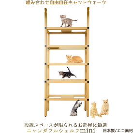 ニャンダフルシェルフ mini ／ キャットタワー 猫用 突っ張り棒型 ECO 日本製 サステナブル　米国連邦規格適合　強化ダンボール　横サイズ980ミリ　高さ2300ミリから2700ミリ　奥行き300ミリ　6畳から20畳