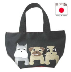 OČijpO ViEU[ r[O  ObY G ~jg[gobO t@Xi[t iC g[gobO  fB[X q D a v[g 킢 `[t