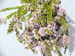 一番の ハーバリウム アレンジ リース 壁掛け キャンドル ハンドメイ 海外限定 アクセサリー ピンク ドライフラワー花材 ショルツィア