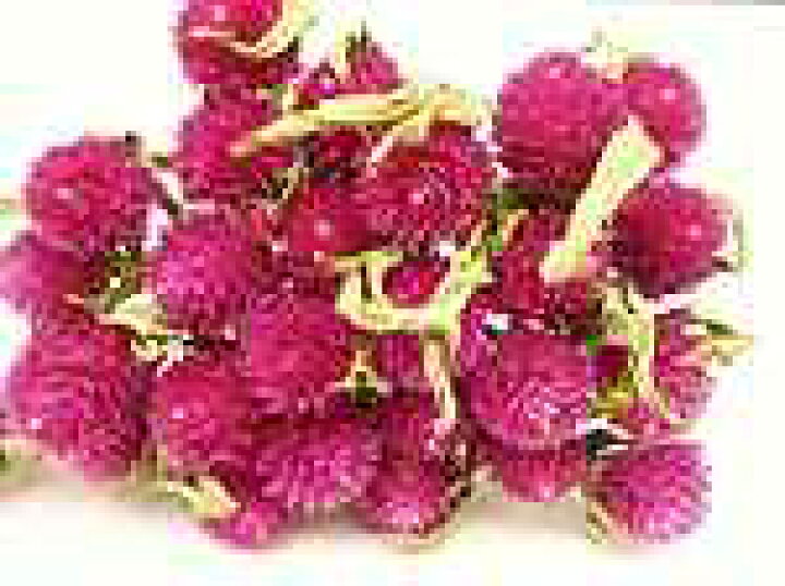 楽天市場 ドライフラワー花材 千日紅 カーマインローズ ドライフラワー工房ねこじゃらし