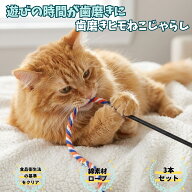 【食品衛生法の基準をクリア】 猫の下僕 猫じゃらし 紐 ロープ 噛むおもちゃ 歯磨き デンタルケア オーラ…