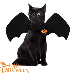 nEB RẺH ڂ̗t n[lX L RXv  L 킢RE H ybgpi