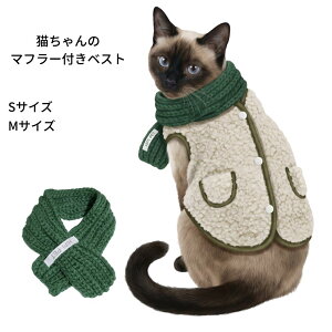 _N[|^ L L xXg }t[t STCY MTCY r̂悤 o  ~ U OK  ybg ybgpi