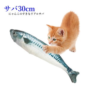 Lp  ʂ I 30cm ˂̂ To   A ˂LbN Lbgjbv L ˂ ^s XgX |Cg  ybgpi