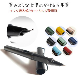 【1000円ポッキリ】 筆のような文字がかける 万年筆 カラー 35° 筆文字 年賀状 絵手紙 インク吸入式 ペン カートリッジ使用可 黒 ネイビー イエロー グリーン マンゴー レッド ブルー 大人気