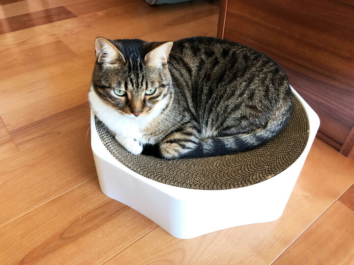 楽天市場 送料無料 猫の友社 爪とぎ 削りカスが散らからない ボウル型 段ボール ダンボール 水洗い可能 取り外し 猫用品専門店 猫の友社