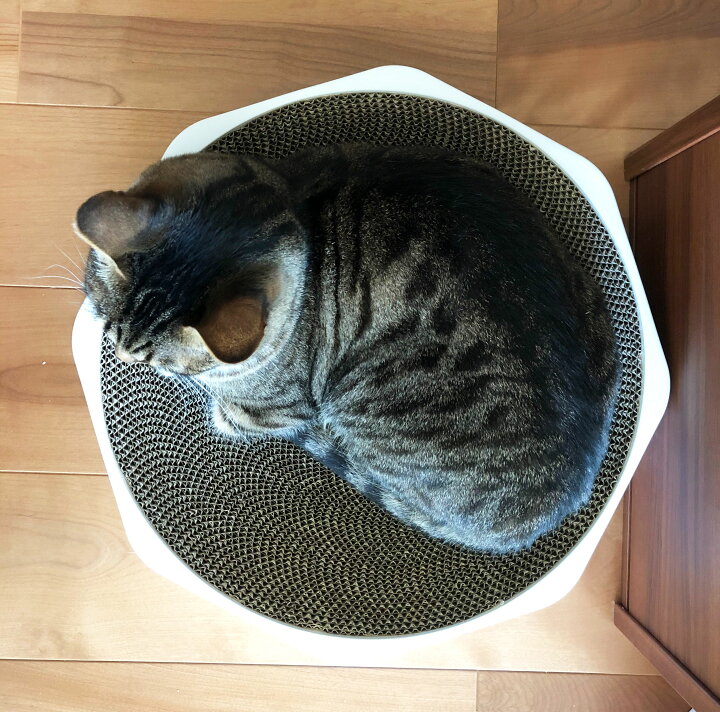 楽天市場 送料無料 猫の友社 爪とぎ 削りカスが散らからない ボウル型 段ボール ダンボール 水洗い可能 取り外し 猫用品専門店 猫の友社
