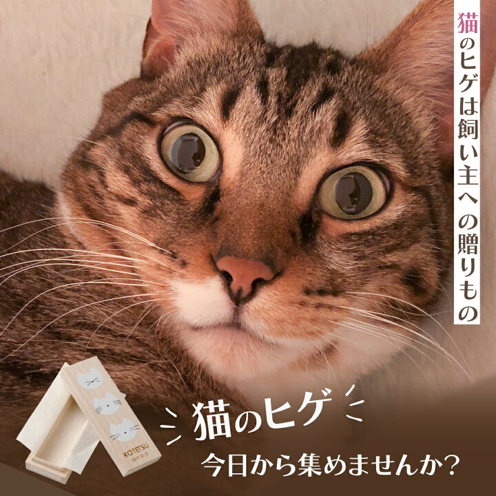 楽天市場 猫のヒゲケース 猫の贈りもの 猫の友社 ひげ 桐箱 名入れ無料 送料無料 日本国内生産 プレゼント ギフト ペット 猫 ひげ 遺品 ケース 国産 桐製 保管 木製 メモリアルグッズ かわいい おしゃれ 動物 猫のひげケース ネコひげケース 贈り物 猫の友社