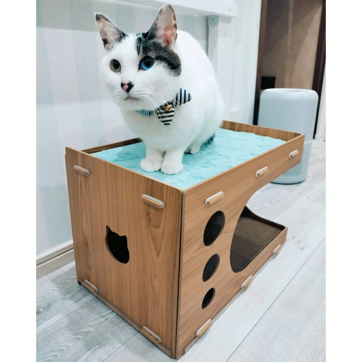楽天市場】【爪とぎ2枚増量中！】猫 ハウス キャットハウス 猫用ハウス 