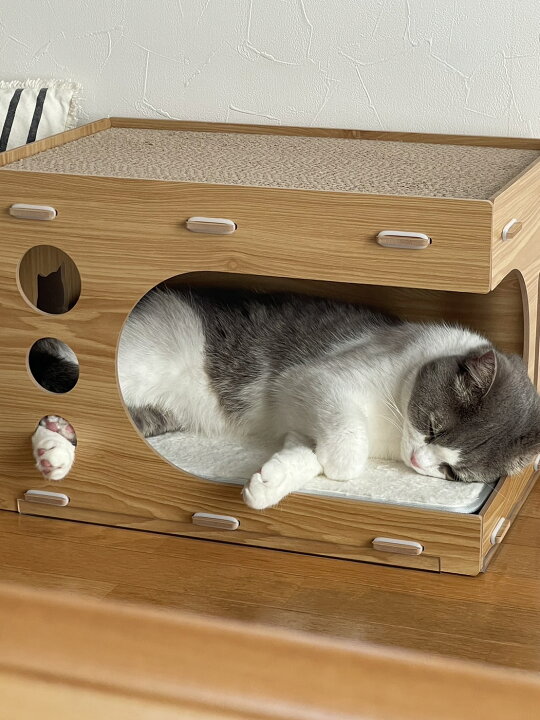 楽天市場】【爪とぎ2枚増量中！】猫 ハウス キャットハウス 猫用ハウス 