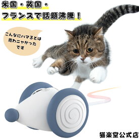 【猫楽堂】 猫ちゃんのイタズラ友だち★ ウィキッド・マウス 猫 おもちゃ 玩具 自動 電動 ねずみ USB充電 電池不要