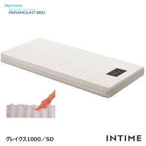 ���{�� �p���}�E���g�x�b�h INTIME��p�}�b�g���X �O���C�N�X1000 �Z�~�_�u�� 120×195cm ���N���C�j���O�x�b�h��p �|�P�b�g�R�C���}�b�g���X ���K�i RB-ZA120G