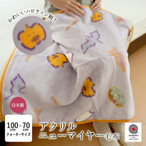 nEB ѕz ANj[}C[ѕz NH[^[TCY 100×70cm ANѕz 1 ѕz _炩ѕz ÓdCh~@ Y 炩 y { nEB[ Z[ 30