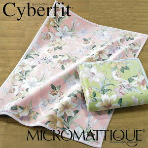 { _N }CN}eB[Nѕz _u 180×210 GXp[_ TCo[tBbgH FLOSSY RrY Wybg hV̓ Mtg 10 36007