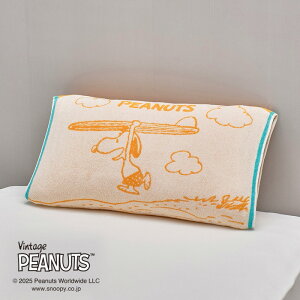  ̂т̂у^I܂Jo[ Xk[s[ Jo[ Surf s[ibc Xk[s[ T[tB 34×64cm R Lk^Cv ӂӂ o[Vu s[^I ̓ ̓ hV̓ 