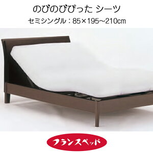 tXxbh ̂т̂т҂V[c Z~VO }bgXV[c NCjOxbh pi RۖhL 85×195`210cm 0366880