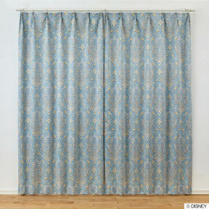 { fBYj[ J[e 100×178cmuvZX^NVbNr[eB[v1 Ռ2 􂦂 Disney Ɩb Princess X~mG M-1216(P) M-1217(B)