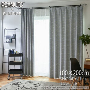 { Xk[s[ J[e 100×200cmus[ibc^{E^Cv1 Ռ2 􂦂 SNOOPY PEANUTS 킢  X~mG P1045(GR) P1046(BE)