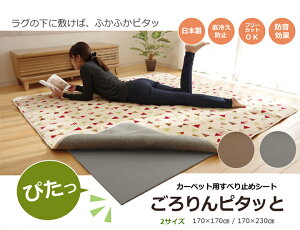 O~߃V[g s^b 170×230cm ` ~Ń{[Abv 10mm t[Jbg^Cv { O[ 1080570138607