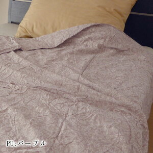 a 􂦂VNӂƂ VN|zc VO 150×210cm 킽VN100 ܂킽zc zc |zc |ӂƂ 􂦂VN ܂킽 ^ ӂƂ k Z[ 22104-01