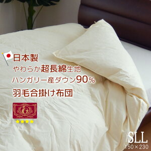 Hѕzc gp VOO 150×230cm | tHp nK[Y_E90 0.9kg ȑn GNZS[hx { RۖhLH