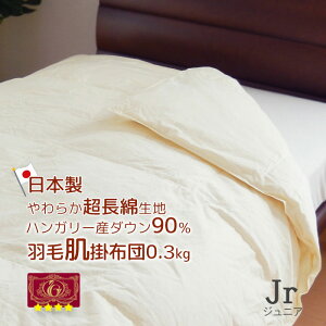 _EPbg { Hє|zc WjA 130×180cm nK[Y_E90 ȑn GNZS[hx RۖhLH