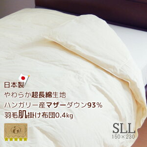 _EPbg { Hє|zc gp VOO 150×230cm nK[Y}U[_E93 ȑn CS[hx RۖhLH