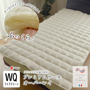 { v~AE[ I[o[C ChNC[ 170×200cm I[o[C xbgpbg xbhpbg ̈U 􂦂E[ EHbVu EN[E[ tXrыF