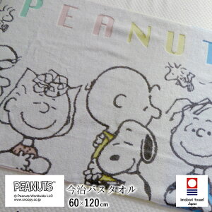 { Xk[s[  oX^I 60×120cm  ߃^I ^I s[ibc tY Jt C{[ ^I ̓ ̓ hV̓ 100 Mtg V 6 XT14306601