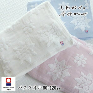 { 킹̍K[[ oX^I 60×120cm 唻^I  ^I K[fjA  `[t 100 K[[^I ӂӂ zQ Mtg pXeJ[ TT11301000 6