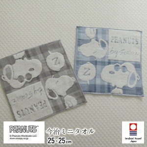 Xk[s[ ~j^I 25×25cm  ^I s[ibc 킢 MORE SLEEP TOXXk[s[ `FbN ^I K[[^I ̓ ̓ 100 Mtg V N6 XT44706600