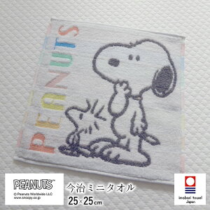 { Xk[s[  ~j^I 25×25cm  nh^I s[ibc tY Jt C{[ ^I ̓ ̓ hV̓ 100 Mtg V N6 XT44706601