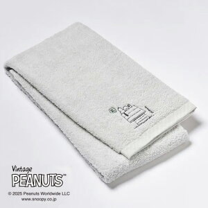 { Xk[s[  oX^I 60×120cm 킽  ӂӂ s[ibc |Cg hJ ^I ̓ ̓ hV̓ 100 Mtg V 6 TT15370611