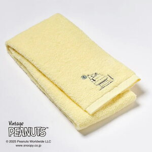 { Xk[s[  oX^I 60×120cm 킽  ӂӂ s[ibc |Cg hJ ^I ̓ ̓ hV̓ 100 Mtg V 6 TT15370611