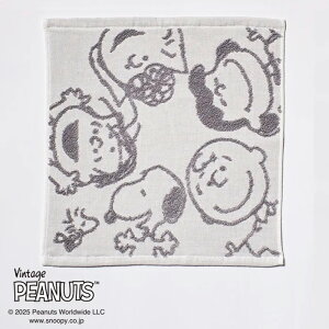 Xk[s[ EHbV^I 34×35cm  ^I s[ibc 킢 nbs[tFCX ^I K[[^I ̓ ̓ 100 Mtg V XT35706621