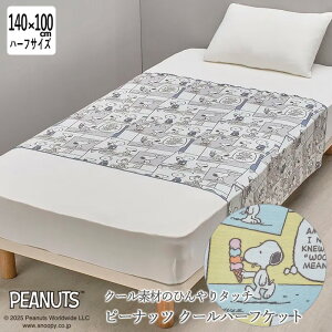  Xk[s[ N[Pbg 140×100cm n[tTCY ICE CREAM COMICS Xk[s[ ACXN[ R~bN ĕ ăPbg 􂦂 CG[ O[ Ђf n[tPbg ̓ hV̓