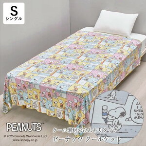  Xk[s[ N[Pbg 140×190cm VO ICE CREAM COMICS Xk[s[ ACXN[ R~bN ĕ ăPbg 􂦂 CG[ O[ Ђf ̓ hV̓ 蕨 Mtg FR05