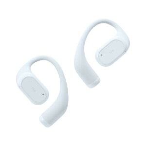 ���f�B�E�X radius HP-H300BT ���S���C�����X�C���z�� : Hear-scape Series Bluetooth�Ή� �C���[�t�b�N�^ �Ȃ��璮�� �����ǂ��Ȃ� �R���p�N�g ���E�����^ AAC �y�� TWS HP-H300BTBG(�u���[