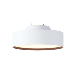 A[g[NX^WI O[ ~j LED V[OCg LEDdt 40000 F (gF/F ؂ւ) Xy[X  GgX L h AW-0578E-WH/LW (zCg+CgEbh)