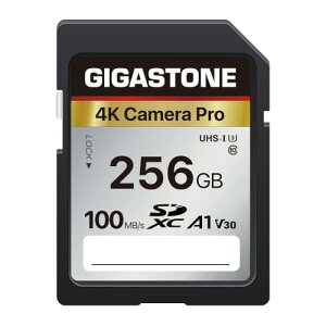 Gigastone SDJ[h 256GB [J[h A1 V30 U3 Class 10 SDXC  4K UHD Full HD rfI Canon Nikon Ȃ fW^J ჌tΉ ~jP[X1t