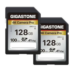 Gigastone SDJ[h 128GB 2Zbg [J[h A1 V30 U3 Class 10 SDXC  4K UHD Full HD rfI Canon Nikon Ȃ fW^J ჌tΉ ~jP[X2t