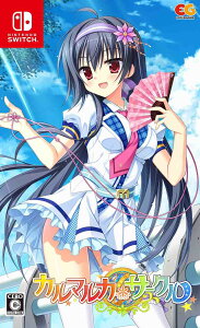 Vi Nintendo Switch J}JT[N