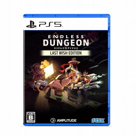 新品【PS5】 ENDLESS DUNGEON LAST WISH EDITION［PS5版］