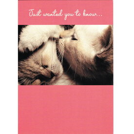 猫のバレンタインカード　子猫のキス
