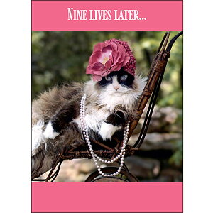 yNXeB[iEoCiEo[zL̃o[Xf[J[h@^̃lbNX