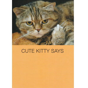 L̃o[Xf[J[h@L[gLeBEZCY