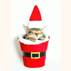 L̃NX}XJ[h@X[sOET^LeB